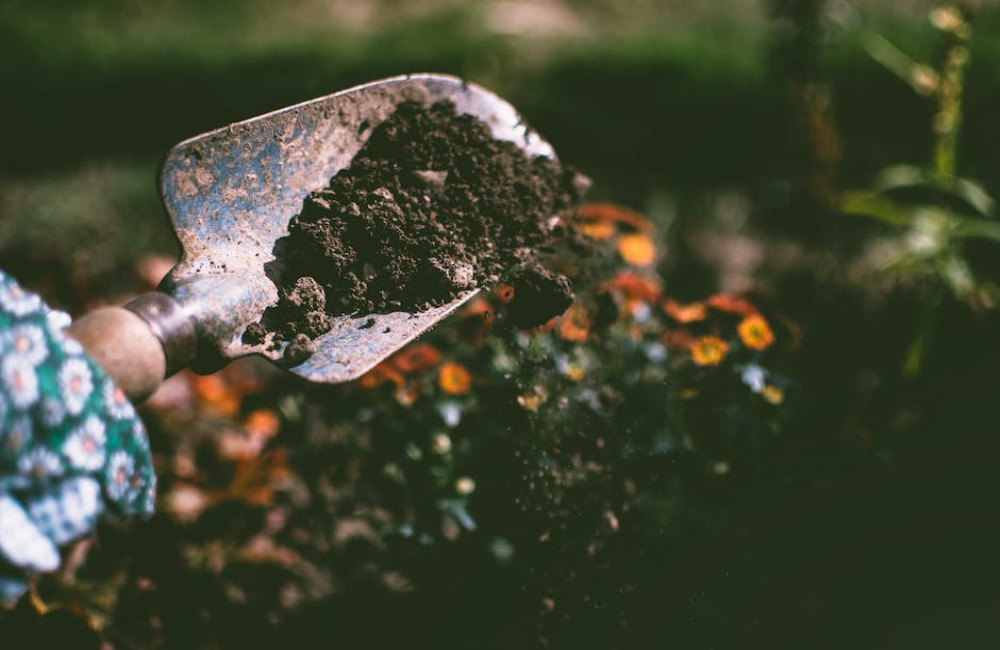 Deze zaken mogen niet ontbreken in een tuinontwerp